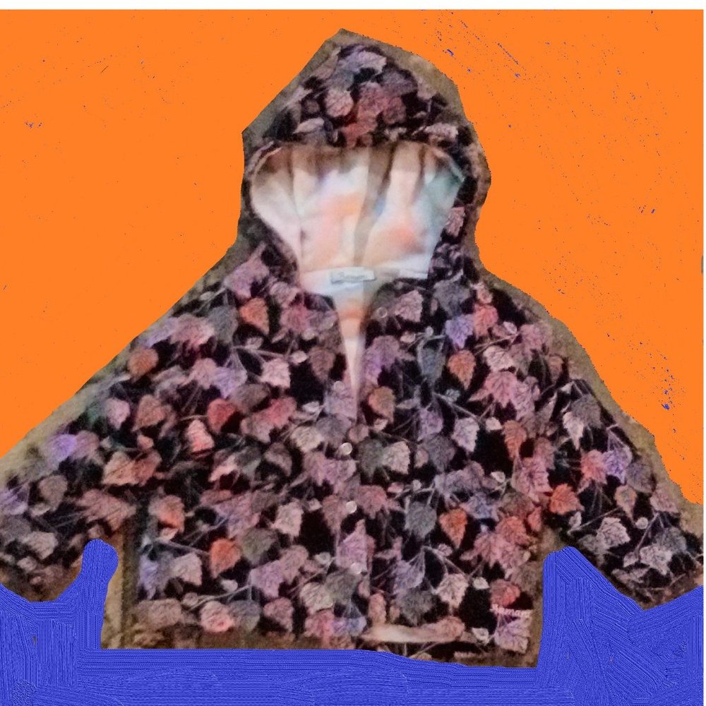 Beautiful Designer jacket 4 yo 4T